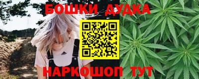 apvp Гусев