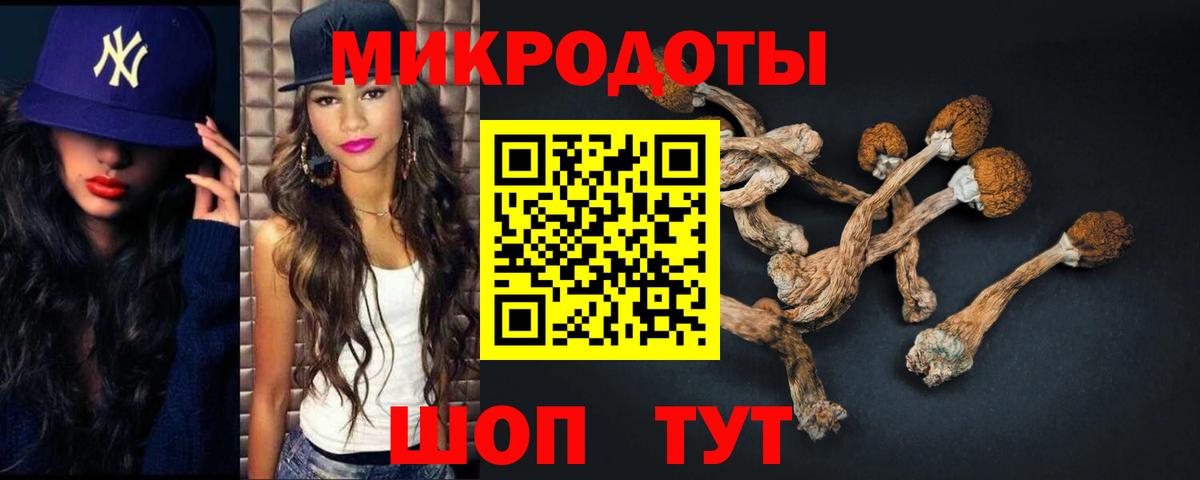 Псилоцибиновые грибы Psilocybine cubensis  Псилоцибиновые грибы Psilocybe  Вход с VPN  Малгобек 